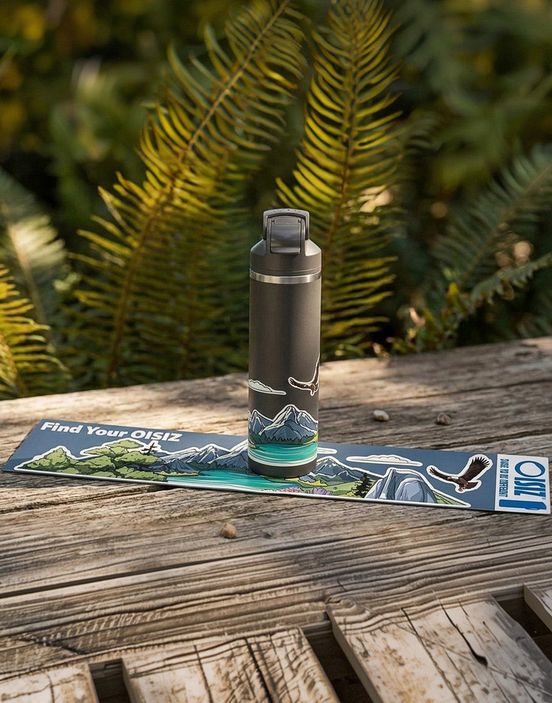 The Blind Box Water Bottle: Introducing the National Explore Series